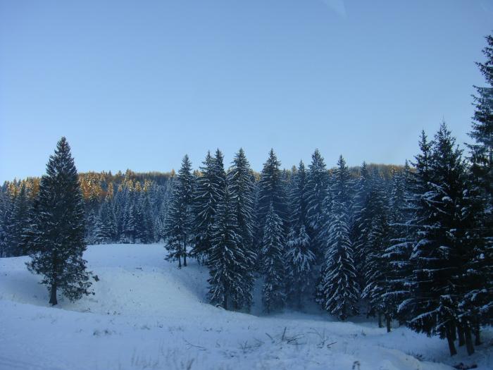 141 - la munte