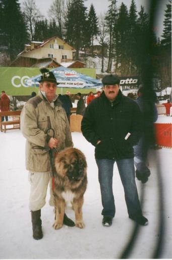 ciobanesc caucazian-2004