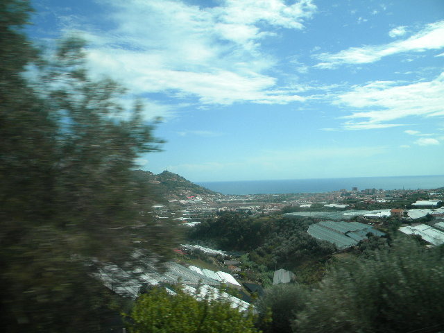 DSCN2485