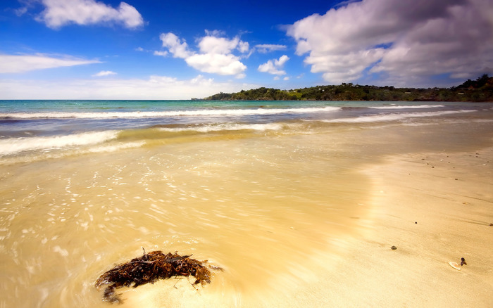 1913_adayatthebeach_2560x1600