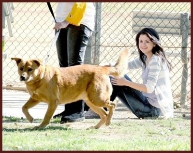 BLPWIWLNVOBXIKJHFKA - Selena Gomez sh animalele