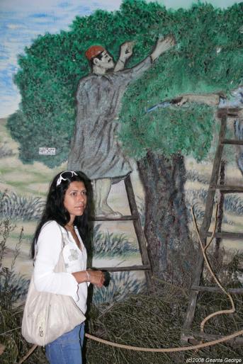 Tunisia_477