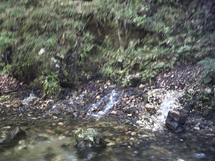 PICT0105