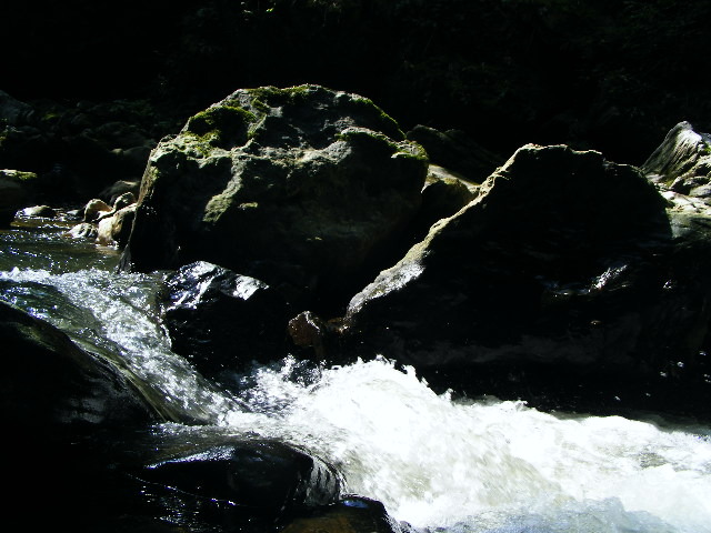 DSCF5238