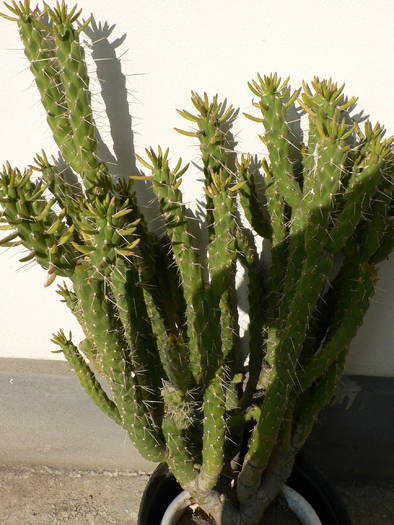 P1050116