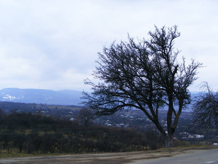 DSCF7711 - Cavnic -Budesti-Breb-Desesti -Mara
