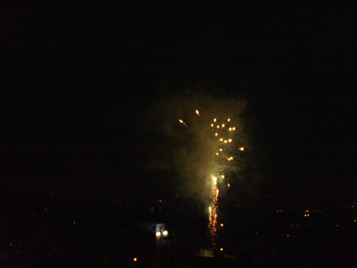 PB210291 - REVELION 2010