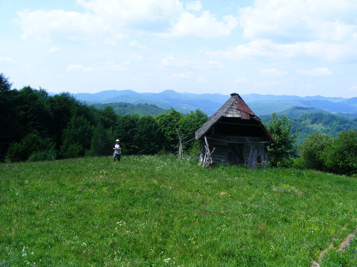 DSCF1078