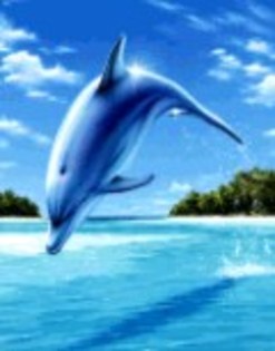 delfin