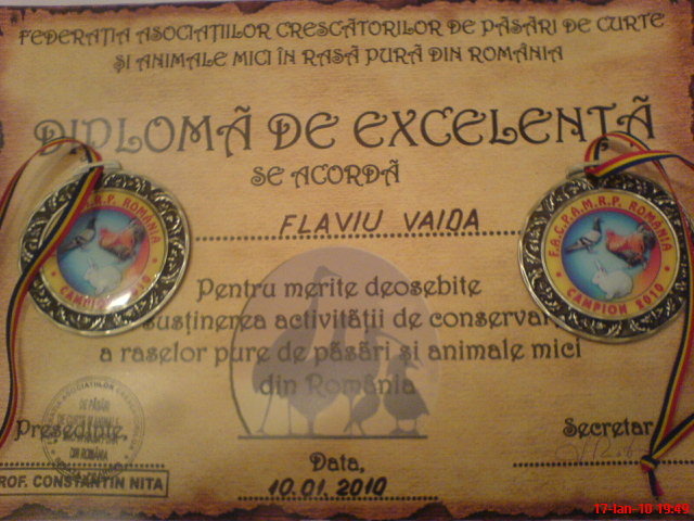 diploma si medalii - REZULTATE DIPLOME STATUETE MEDALII 2010