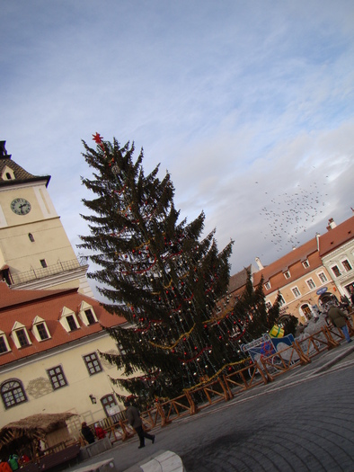 081 - vacanta dec 2009