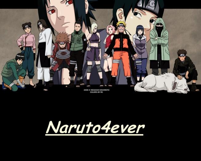 naruto 4ever