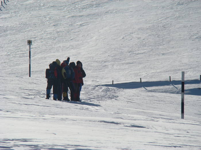 DSC01178 - Bucegi - Valea Izvorul Dorului-Padina