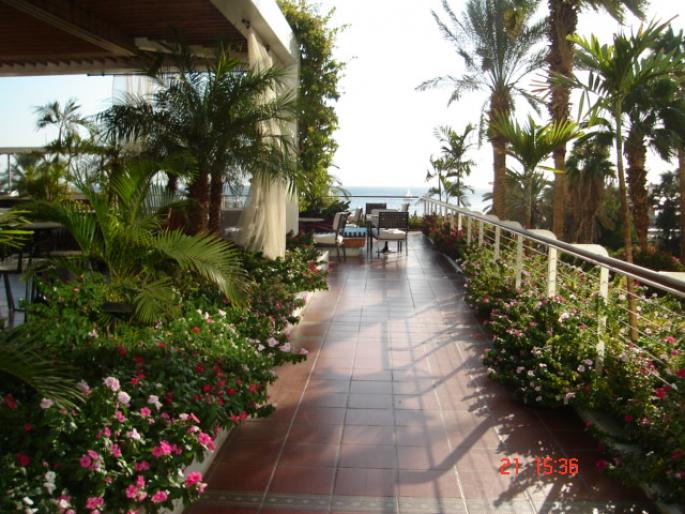 356 Israel - Eilat - Hotel Royal Beach 356 Israel - Eilat - Hotel Royal Beach