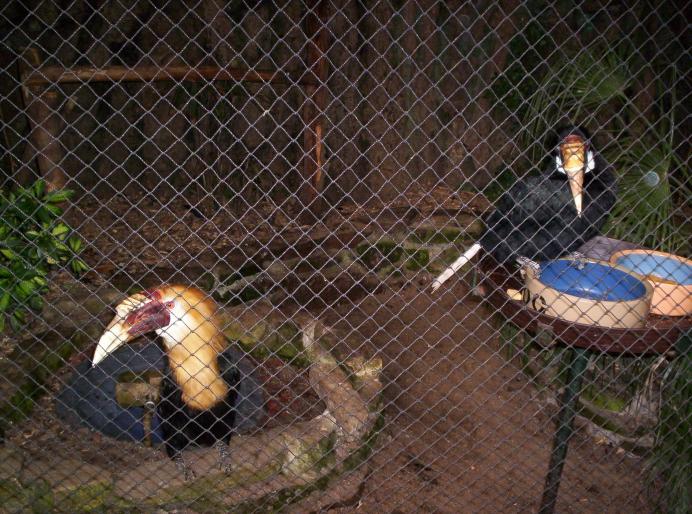 190 centru papag. 6 oct 2007 (38)