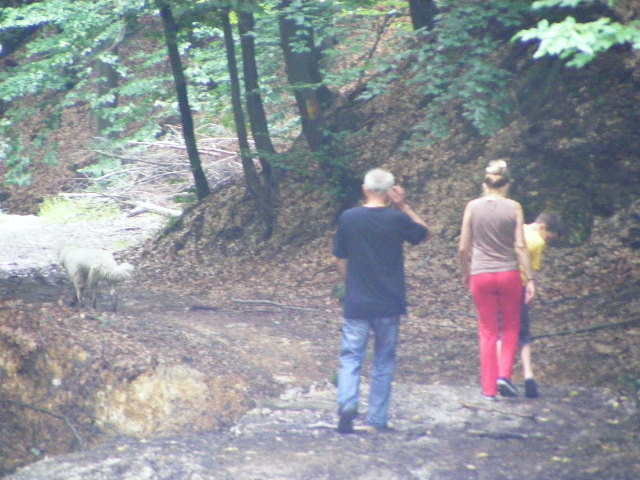 DSCF4892 - Firiza_Maramures