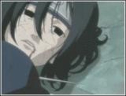 m_295[1]