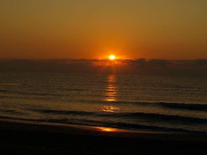 P8306654 - la mare 2009