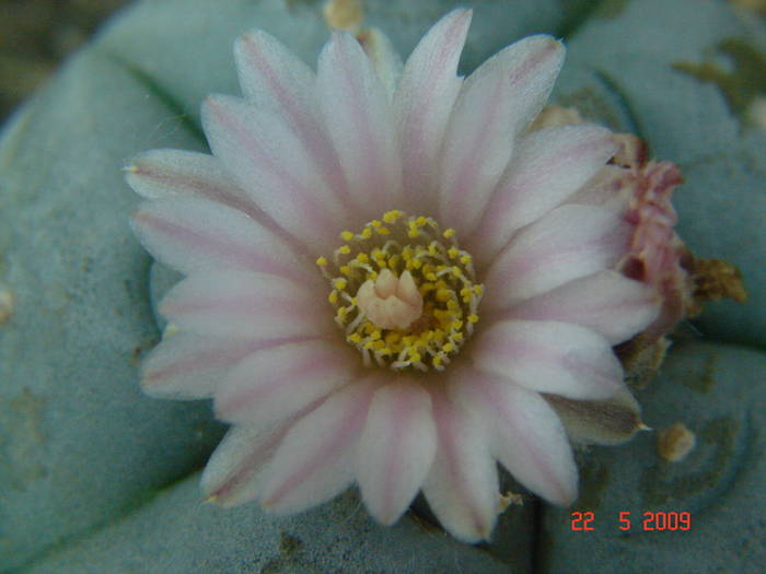 DSC05834