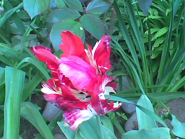Imag064