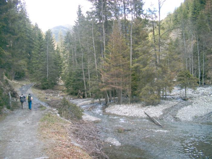 04120052 - Iezer-Papusa