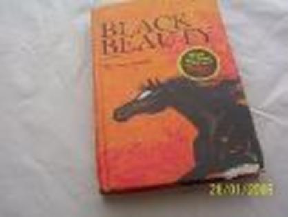 black beauty - BLACK BEAUTY