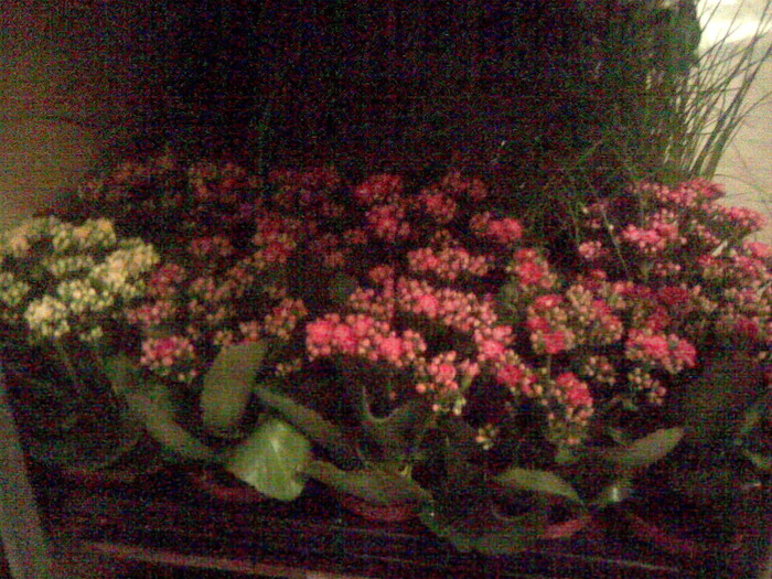 Imag022