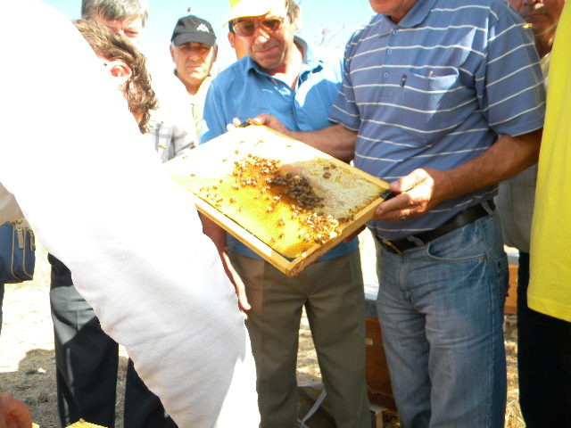 DSCN1796 - apicultorul francez