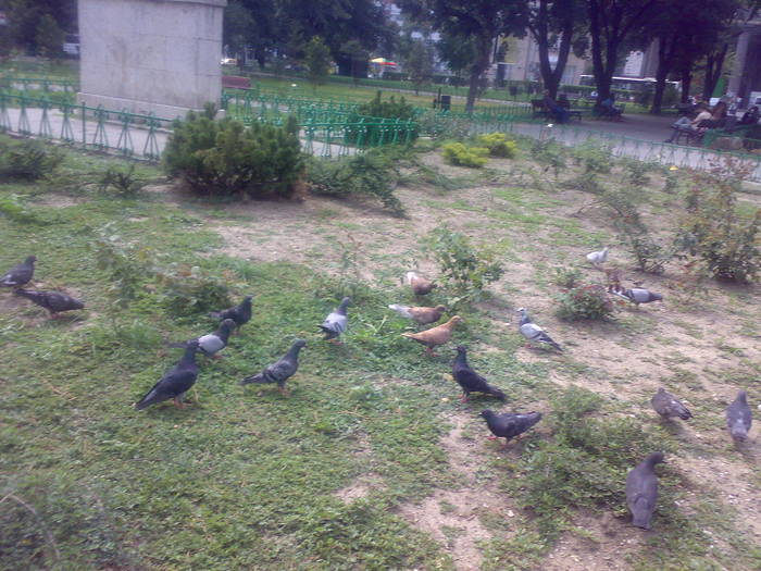 200720092343 - 18c Bucuresti