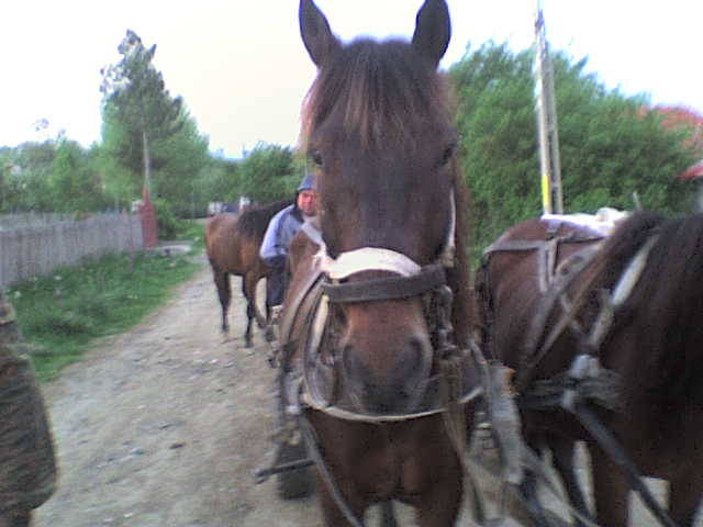 DSC00214 - 3-poze pentru fratemiu cu nepoti