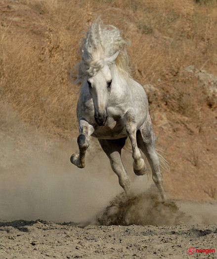 88ebb2a2_0050000668373_00_600