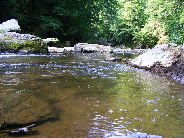 DSCF5100