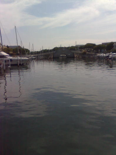 Imagine1292 - ApiMondia