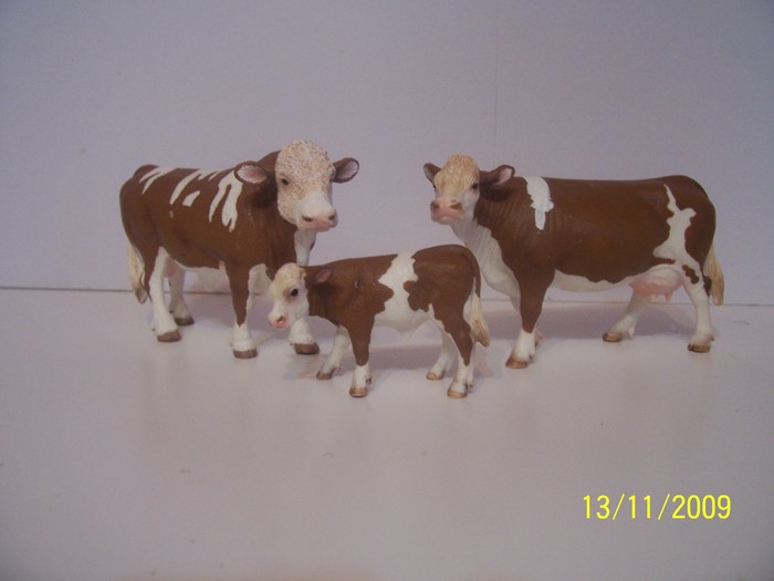 Vaci Simmental