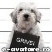 avatare_gratuite_20192a0987e89fc9b6ac486aac567713