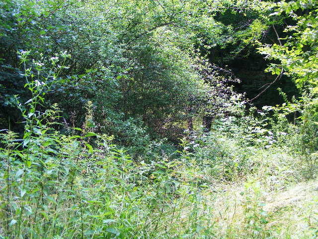 DSCF2623