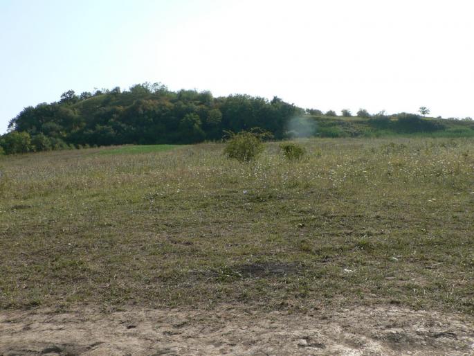 P100077