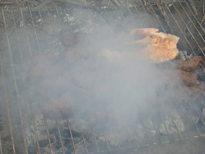 DSC02698 - 2008-03-22 - La padure-Baneasa