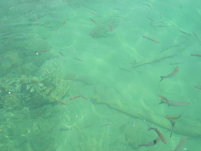 Picture Nokia 372 - 2007 TURCIA KUSADASI