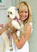 OLEJZUTDNNJNKXPPOCN - ashley tisdale