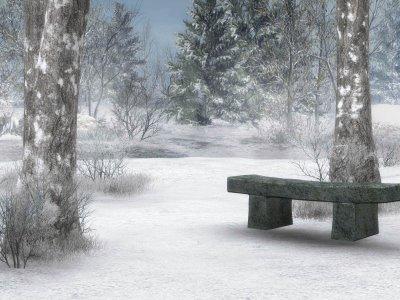 Winter_Background_2_by_BlackStock