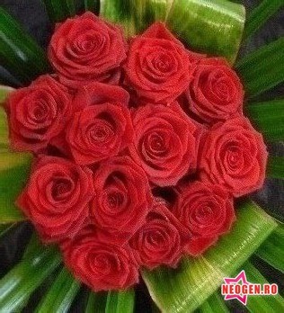 dd19431b_0020000391565_00_600