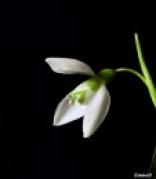 JMJJVHAXRV3NJ9WSLDZXOUW0O