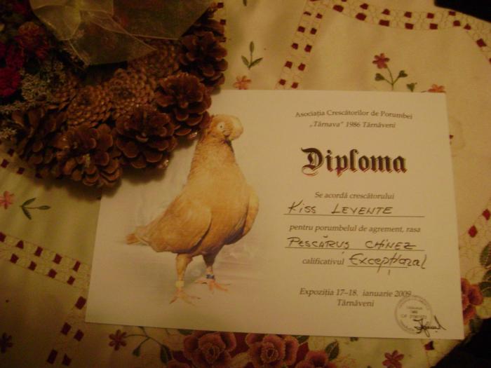 DSC05589 - DIPLOMA si PUNCTAJELE OBTINUTE