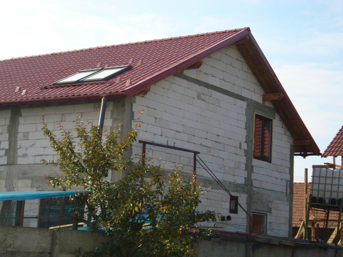 DSC02537
