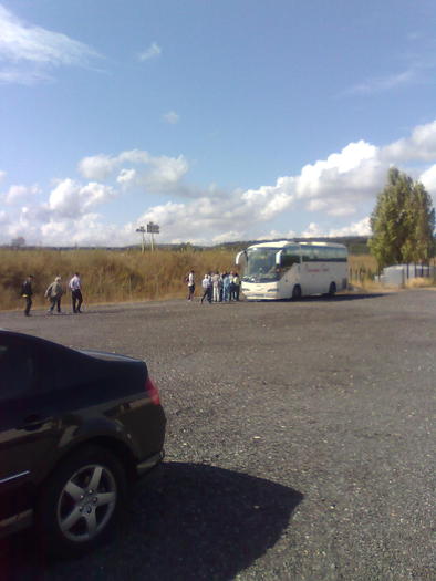 Imagine1408 - ApiMondia