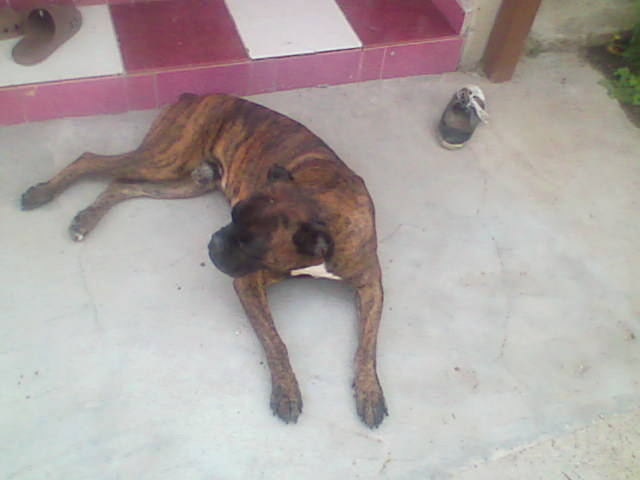 draganeasa09 014 - vacanta draganeasa 2009