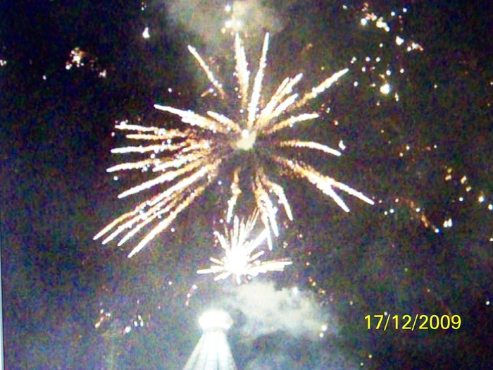 100_7081 - 1 Decembrie Timisoara