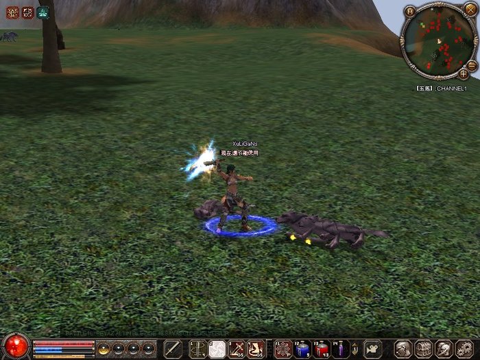 1214_113340 - metin 35 pserver poze noi