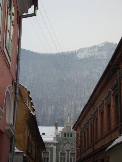 DSC05733 - poze Ianuarie 2009